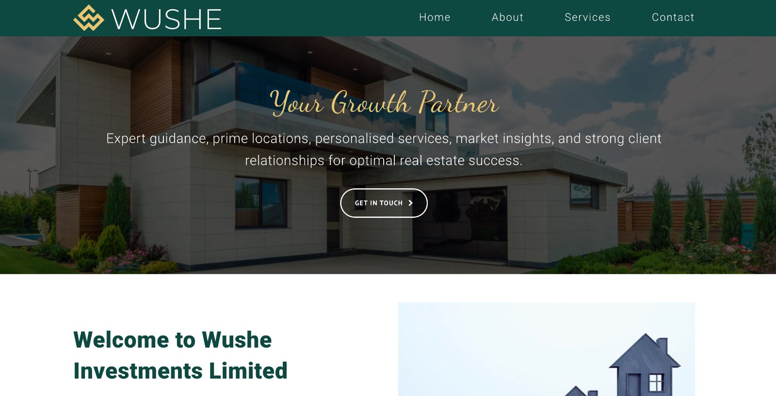 Wushe Investments website